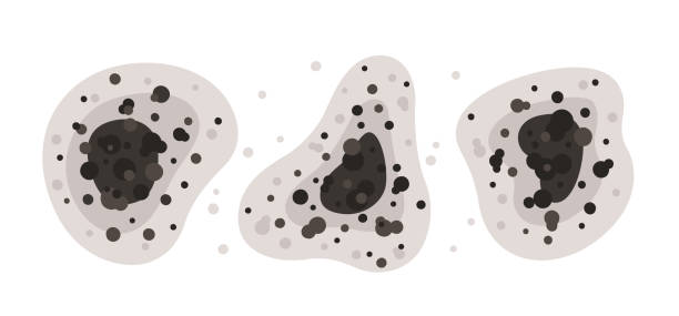 Best Air Quality Testing for Mold Spores  in Beckett Ridge, OH