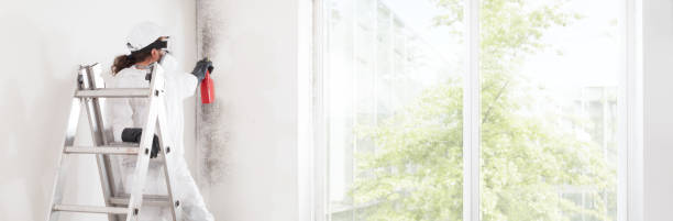 Best Industrial Mold Remediation  in Beckett Ridge, OH